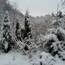 feladatok a kertben télen